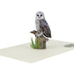 Majestic Owl 3D Pop-Up Greeting Card