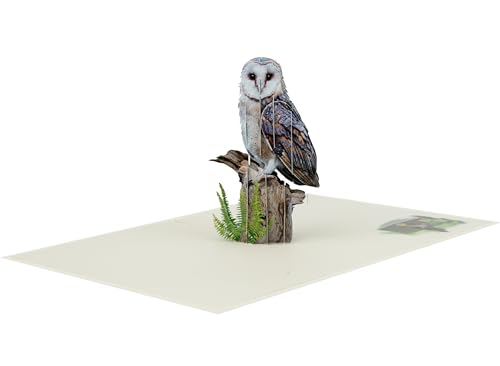 Majestic Owl 3D Pop-Up Greeting Card