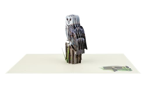 Majestic Owl 3D Pop-Up Greeting Card