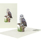 Majestic Owl 3D Pop-Up Greeting Card