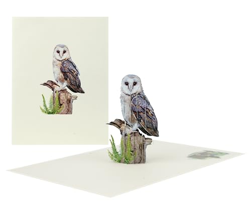 Majestic Owl 3D Pop-Up Greeting Card