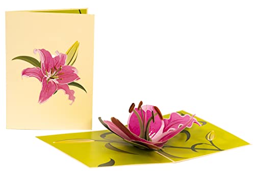 Inspirational Lily Bloom 3D Pop Up Greeting Card