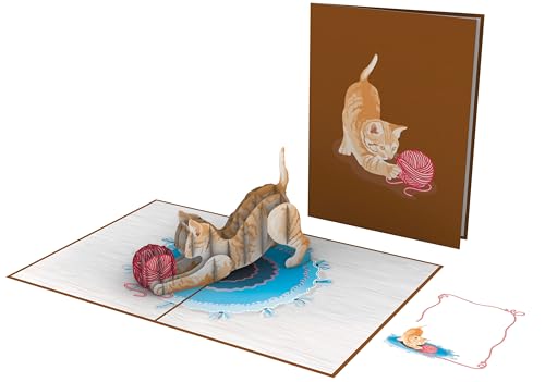 Furry Friend: Cat Lover's Delight 3D Pop Up Greeting Card