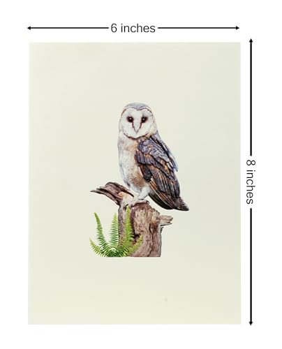 Majestic Owl 3D Pop-Up Greeting Card