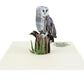 Majestic Owl 3D Pop-Up Greeting Card