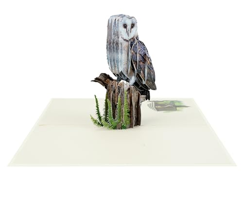 Majestic Owl 3D Pop-Up Greeting Card