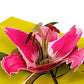 Inspirational Lily Bloom 3D Pop Up Greeting Card