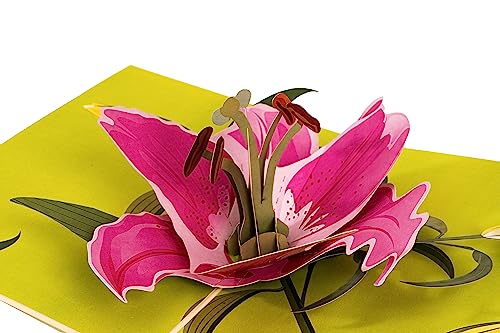 Inspirational Lily Bloom 3D Pop Up Greeting Card