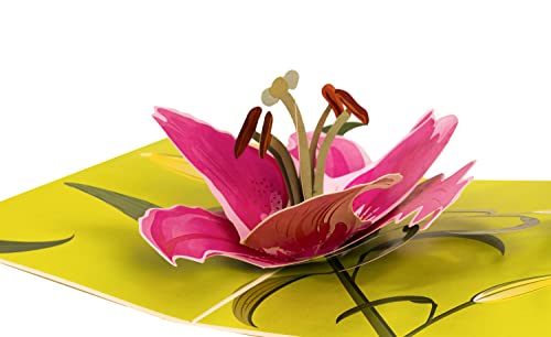 Inspirational Lily Bloom 3D Pop Up Greeting Card