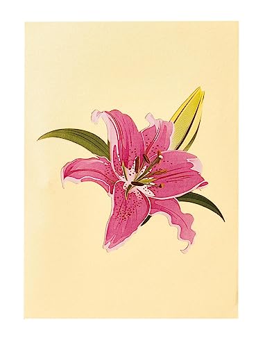 Inspirational Lily Bloom 3D Pop Up Greeting Card