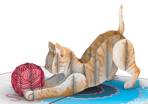 Furry Friend: Cat Lover's Delight 3D Pop Up Greeting Card