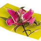 Inspirational Lily Bloom 3D Pop Up Greeting Card