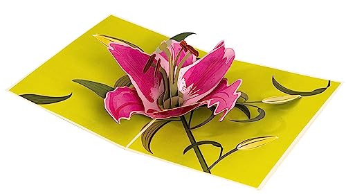 Inspirational Lily Bloom 3D Pop Up Greeting Card