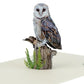 Majestic Owl 3D Pop-Up Greeting Card