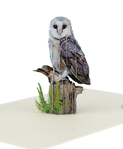 Majestic Owl 3D Pop-Up Greeting Card