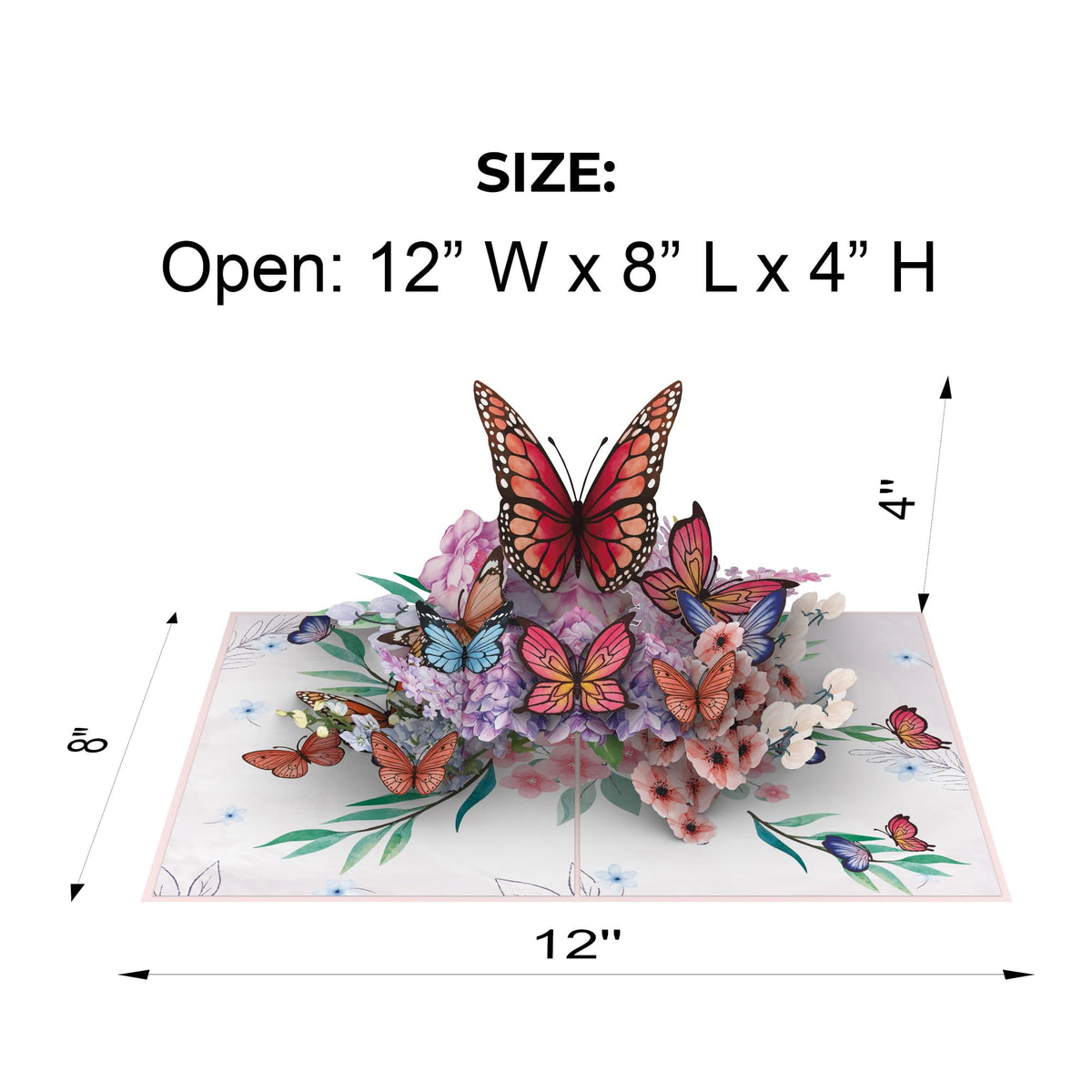 Butterfly floral pop-up card shown open at 12 by 8 inches with 4-inch pop-up height