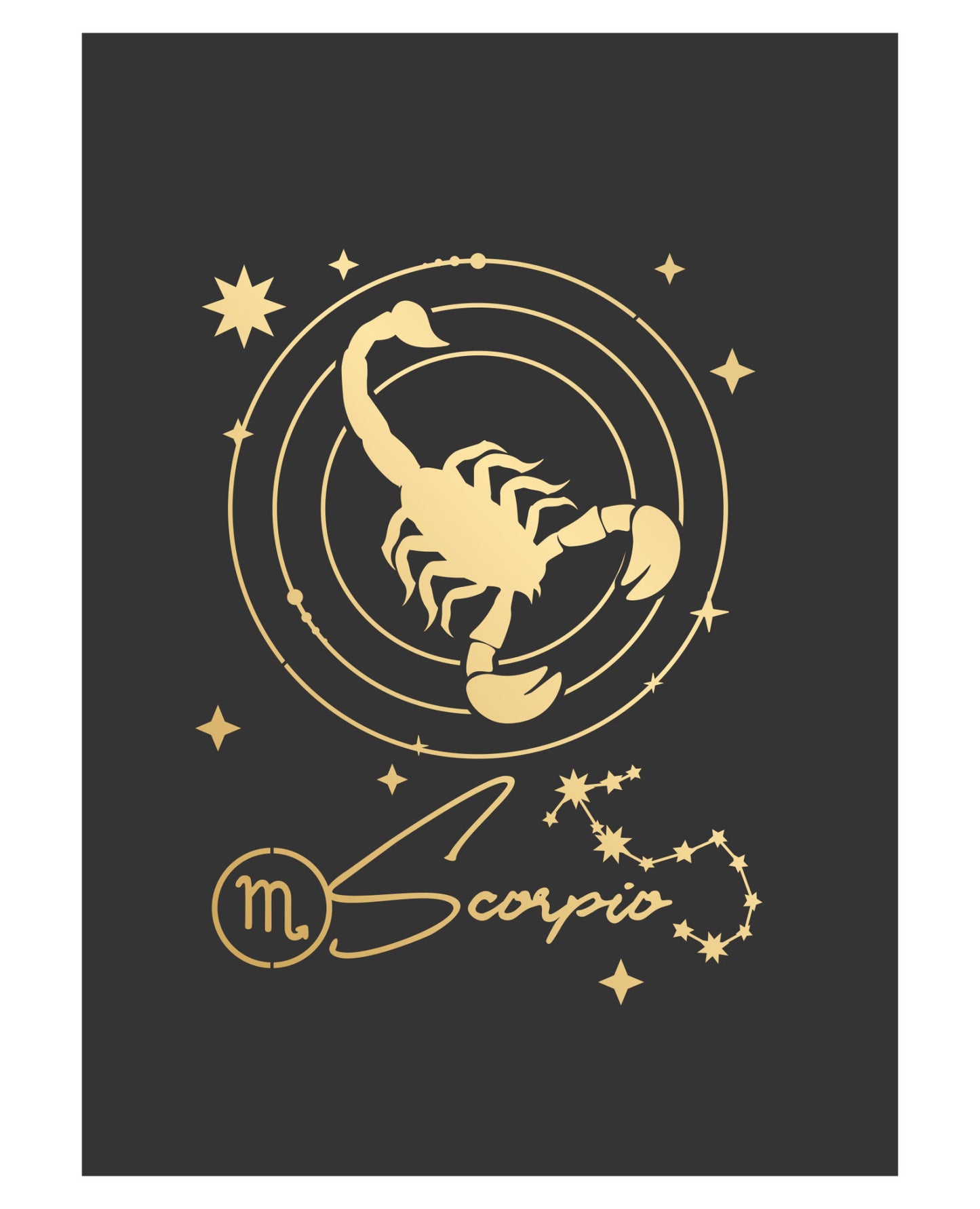 Scorpio Zodiac Star Sign 3D Pop Up Greeting Card