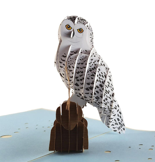 Magical Owl 3D Pop Up Greeting Card - Birthday - Fun - Graduation - Just Because - iGifts And Cards
