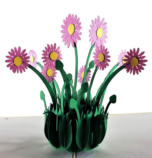 Purple Daisies 3D Pop Up Greeting Card - Get Well - Just Because - Mother's Day - New Business - Thi - iGifts And Cards