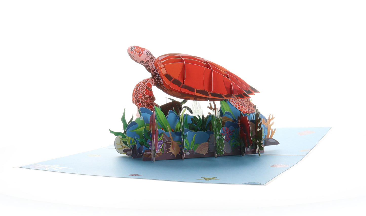 Sea Turtle 3D Pop Up Greeting Card - Birthday - earth day - Father's Day - Graduation - hello summer - iGifts And Cards