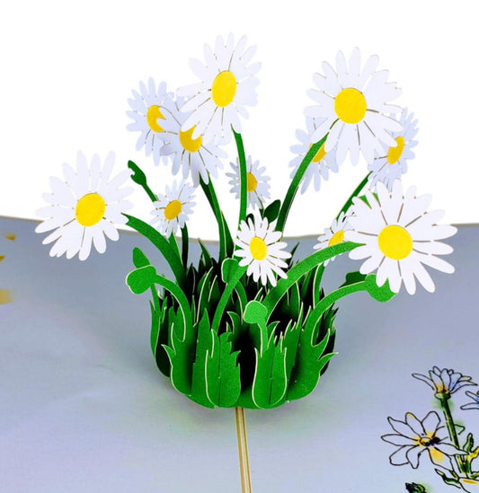 White Daisies 3D Pop Up Greeting Card - Get Well - Graduation - Miss You - Mother's Day - womens - iGifts And Cards