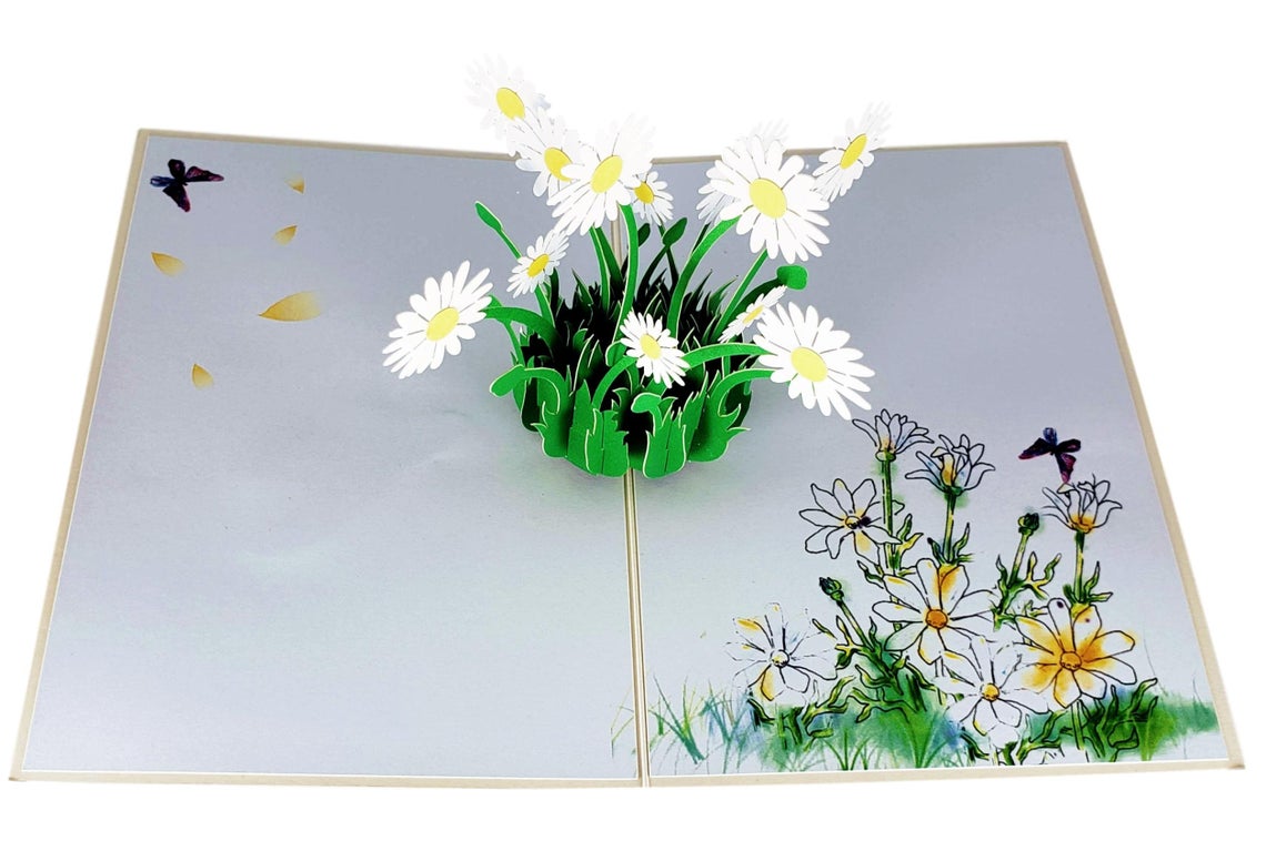 White Daisies 3D Pop Up Greeting Card - Get Well - Graduation - Miss You - Mother's Day - womens - iGifts And Cards